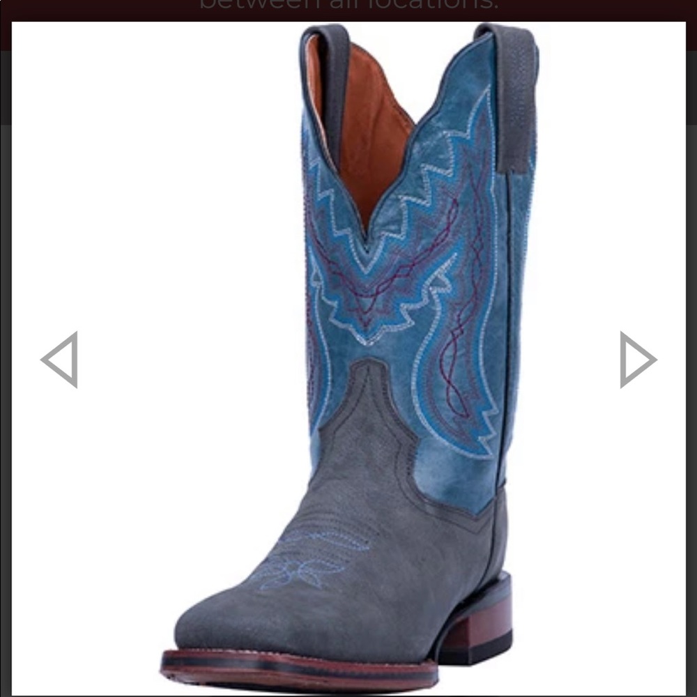 Dan Post Boots NWOT